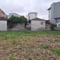 ۱۹۱ متر مربع زمین کشاورزی نسق در حال توسعه رشت