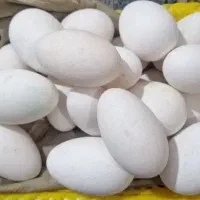 تخم از شما دستگاه جوجه کشی از ما (نصفه ای)