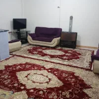 سوییت روزانه