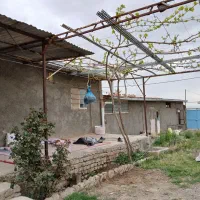 خانه باغ