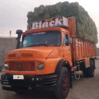 کامیون تک باری