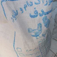 دان مرغ|ماهی|قم, شهرک فاطمیه|دیوار