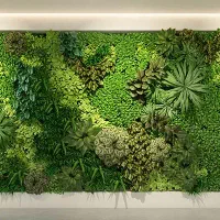 خدمات نقاشی ساختمان روغنی پلاستیک آکرلیک رنگ کناف|خدمات پیشه و مهارت|اصفهان, خانه اصفهان|دیوار