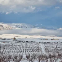 580 متر زمین مسکونی/جواز/سله بن/سد نمرود/فیروزکوه|فروش زمین و ملک کلنگی|ارجمند, |دیوار