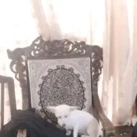 سوییت ۷۵متری