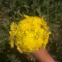 کارگر ساده