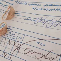 گوشواره صدفی طلا