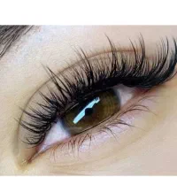 بلک فرآیدی، آموزشی اکستنشن مژه