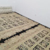 فروش دوتخته فرش 9متری در حد نو بدون هیچ گونه زدگی
