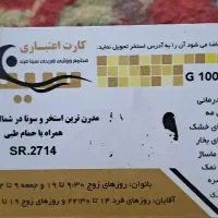 کارت استخر ده جلسه ای سینا مرند