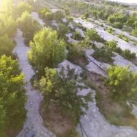 باغ-3000متری
