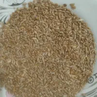 گندم بذری Lg|عمده‌فروشی|هیر, |دیوار