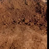 کود گاوی درجه یک وخاک باغچه