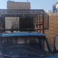 اتاق نیسان