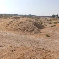 کاه کندم