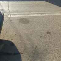 یک خانم اشپزی