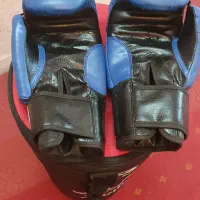 کیسه بوکس با دستکش|تجهیزات ورزشی|مشهد, کوشش|دیوار