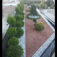 باغبانی و سمپاشی|خدمات باغبانی و درختکاری|رشت, گلباغ نماز|دیوار