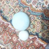 سنگ  الماس سنگ آسیاب