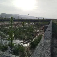 فروش باغ نرسیده به روستای جمعاب