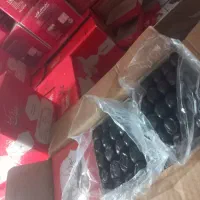 خرما درجه ۱ زاهدان|خوردنی و آشامیدنی|تهران, مسعودیه|دیوار