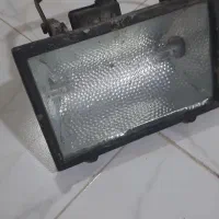 بدو ببر که حراج شد