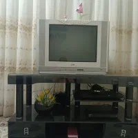 تلویزیون