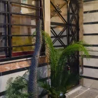 سویت تمیزنزدیک به دریا اجاره روزانه وماهانه