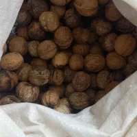 گردو کاغذی|خوردنی و آشامیدنی|مشهد, موسوی قوچانی|دیوار