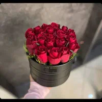 ۲۰شاخه گل هلندی