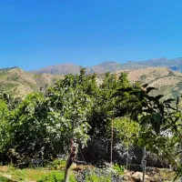 سوئیت2خوابه باپارکینگ ومجوزرسمی گردشگری در پاوه|اجارهٔ کوتاهمدت آپارتمان و سوئیت|پاوه, |دیوار