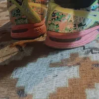 کتونی اسیکس رنگین کمان