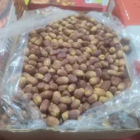 قصب یا زاهدی