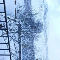 خانه باغ روستای دربرز بخش خضرآباد