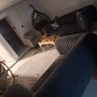 مبل 7 نفر درحدنو|مبلمان خانگی و میز عسلی|سبزوار, جوادیه شرقی|دیوار