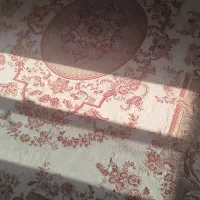 دو عدد قالی|فرش|اهواز, زردشت|دیوار