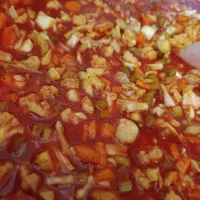 محصولات خانگی
