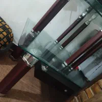 کوتوله نر ماده|پرنده|ایرانشهر, |دیوار