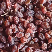 کشمش آفتابی