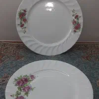 دیس|ظروف سرو و پذیرایی|گرگان, |دیوار