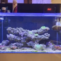 آکواریوم آب شور کامل