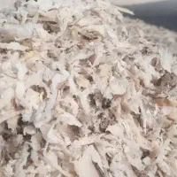 تفاله چغندر