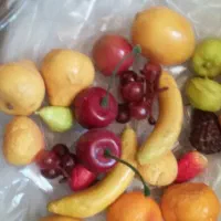 گل مصنوعی|گل مصنوعی|اراک, |دیوار