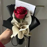 فروش بصورت شاخه تکی برای پارتنرتون و چند تایی|کنسول، بازی ویدئویی و آنلاین|خرم‌آباد, |دیوار