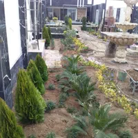 باغبانی -هرس و کار با اره برقی|خدمات باغبانی و درختکاری|کرمان, |دیوار