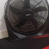 پنکه