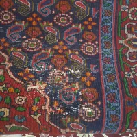 فرش دستبافت زنجان ۱ در ۲|فرش|کرج, برغان|دیوار