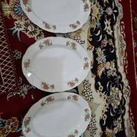 دیس چینی گل سرخ ژاپنی نو