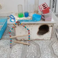 وسایل قفس پرنده