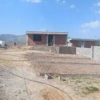 خانه فروشی ساردو بخش گردو چوب فروش فوری